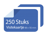 250 stuks visitekaartjes 